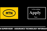 MTN Supervisor - Assurance Technology Information